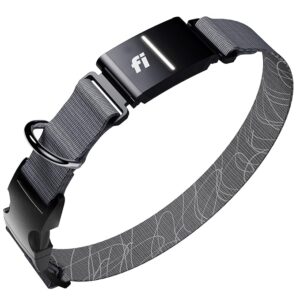 GPS Dog Tracker Collar