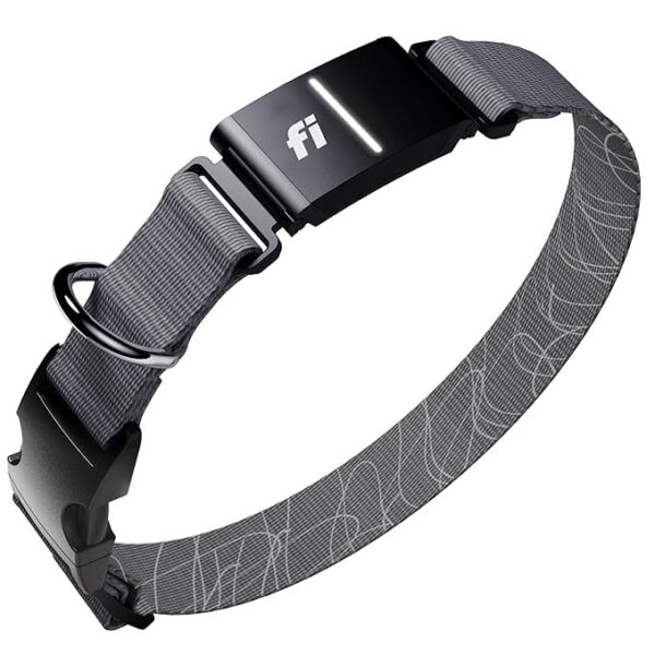 GPS Dog Tracker Collar