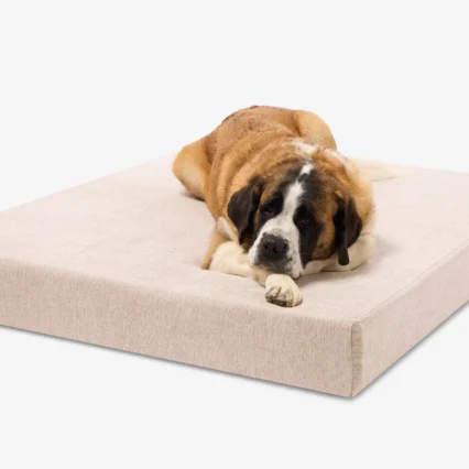 Orthopedic Dog Bed (Large Dogs)